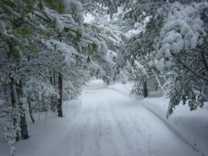 Winter Storms